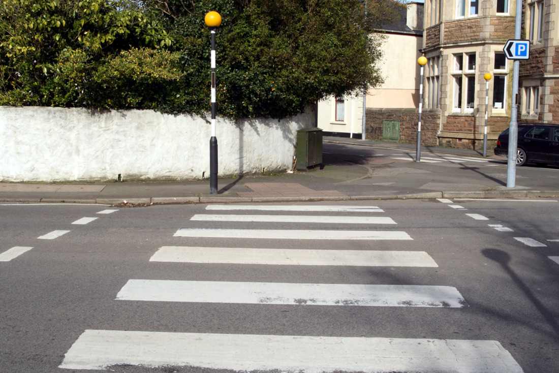 Какой краской рисуют зебру?